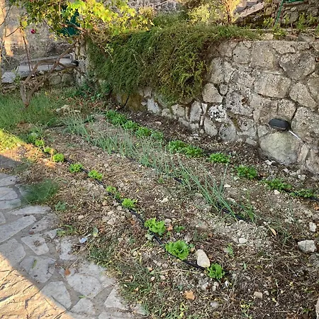Traditional Stonehouse At Prementinos Village Lefkada Holiday home